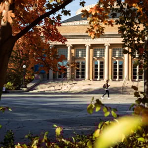 A person walking in front of a building in the fall. A person walking in front of a building in the fall.
