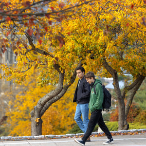 Two students walking down a sidewalk in the fall. Two students walking down a sidewalk in the fall.