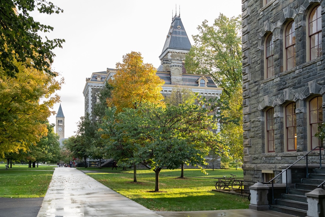 Cornell-Campus