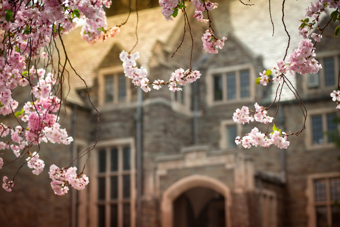 Cornell University's MPA Admitted Student Day